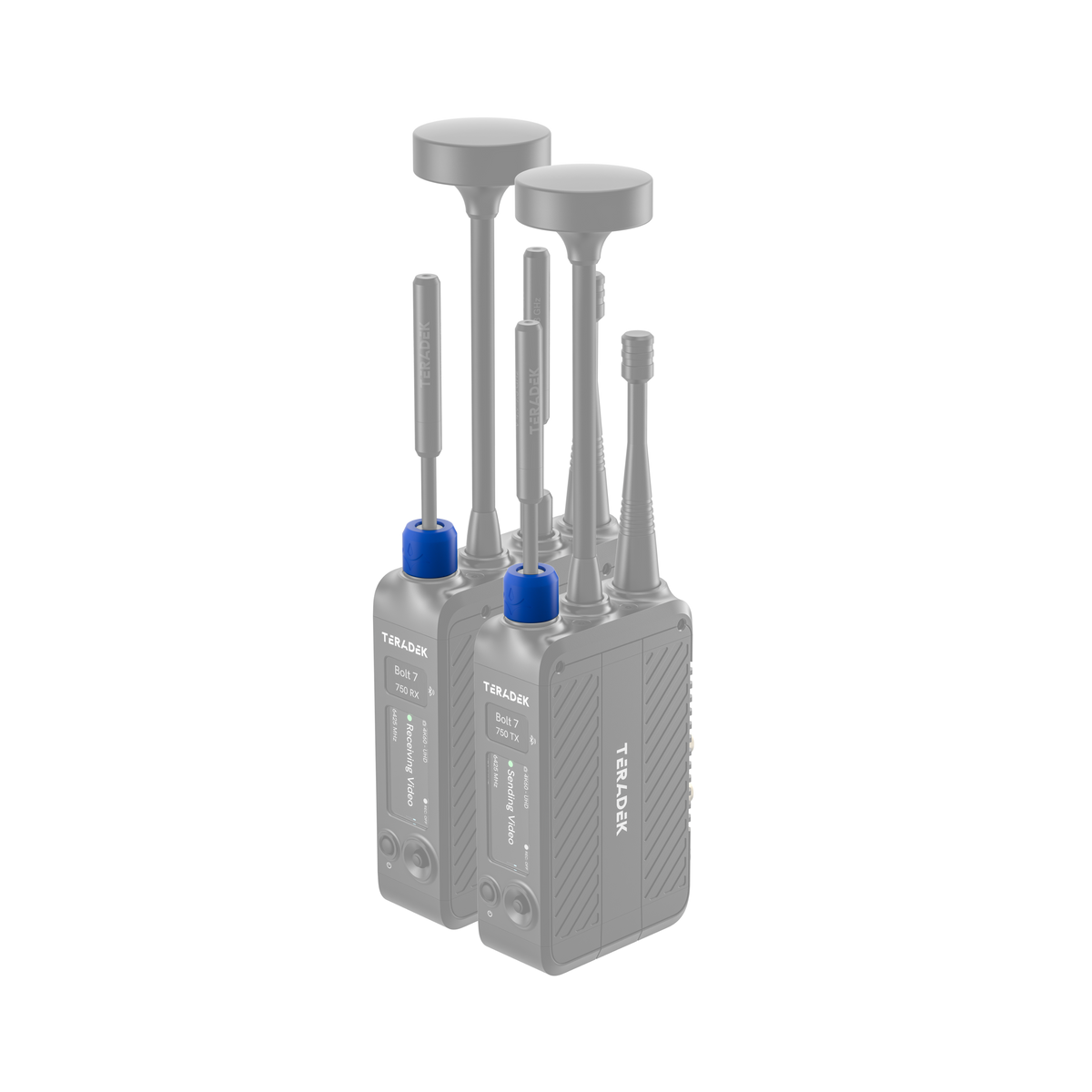 Teradek Bolt 7 Color Band Set #3 - Neon