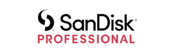 sandisk logo