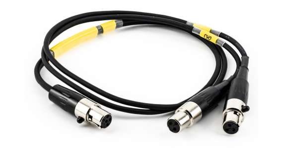 Lectrosonics MCTA5TA3F2 Cable Audio TA5F to Dual TA3F 18"
