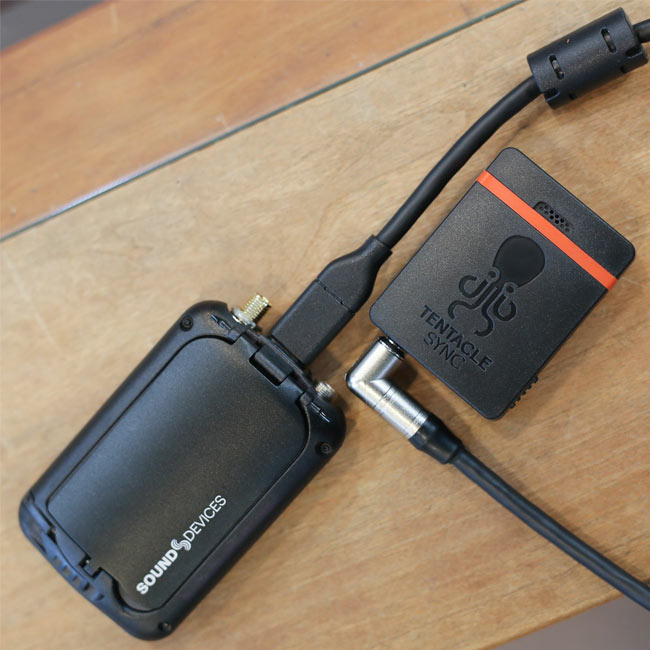 Tentacle Sync Cable - Tentacle to USB-C (A20-MINI)