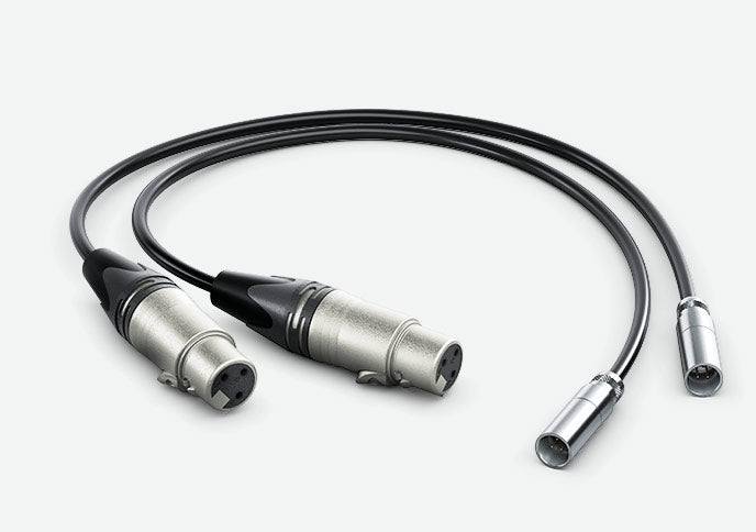 Blackmagic Design Mini XLR Cables (Set of 2, 19.5")