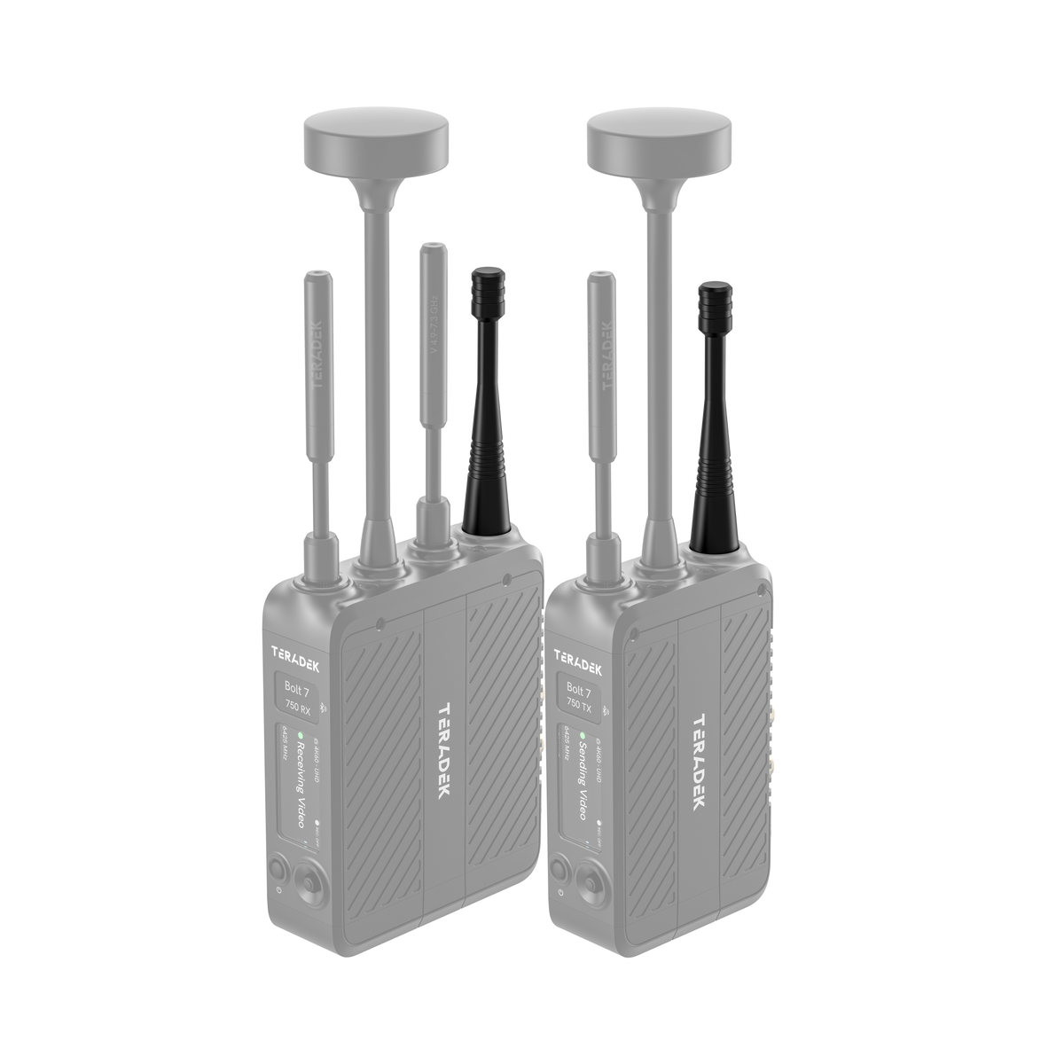 Teradek 900 MHz Antenna
