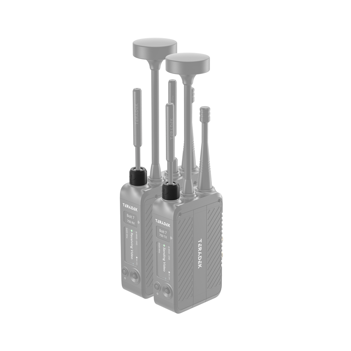 Teradek Bolt 7 Basic Color Band Set