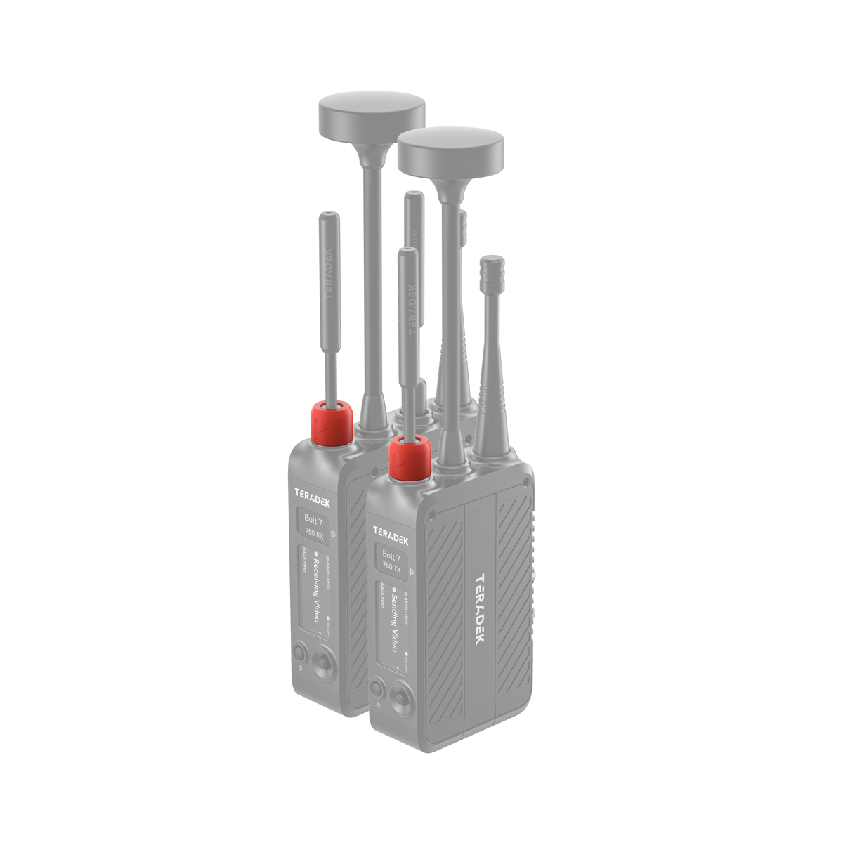 Teradek Bolt 7 Color Band Set #3 - Neon
