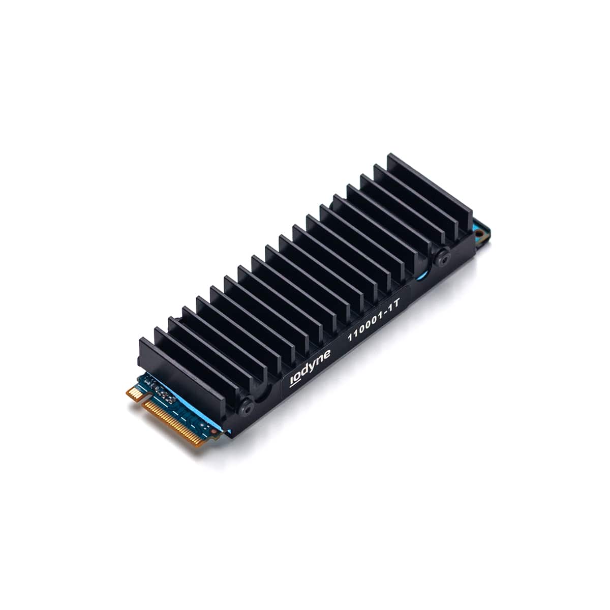 Iodyne Pro Data Spare SSD Module (1TB)