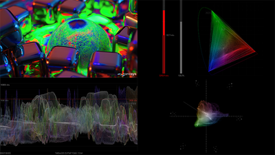 AJA HDR Image Analyzer 12G 1RU 12G-SDI for Real Time HDR Analysis with Waveform, Histogram and Vectorscope Monitoring
