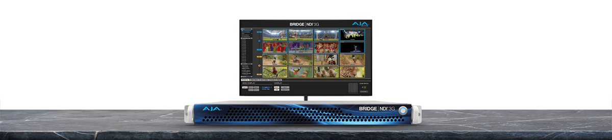 AJA BRIDGE NDI 3G High Density HD and 4K/UltraHD Conversion Gateway for SDI to NDI and NDI to SDI