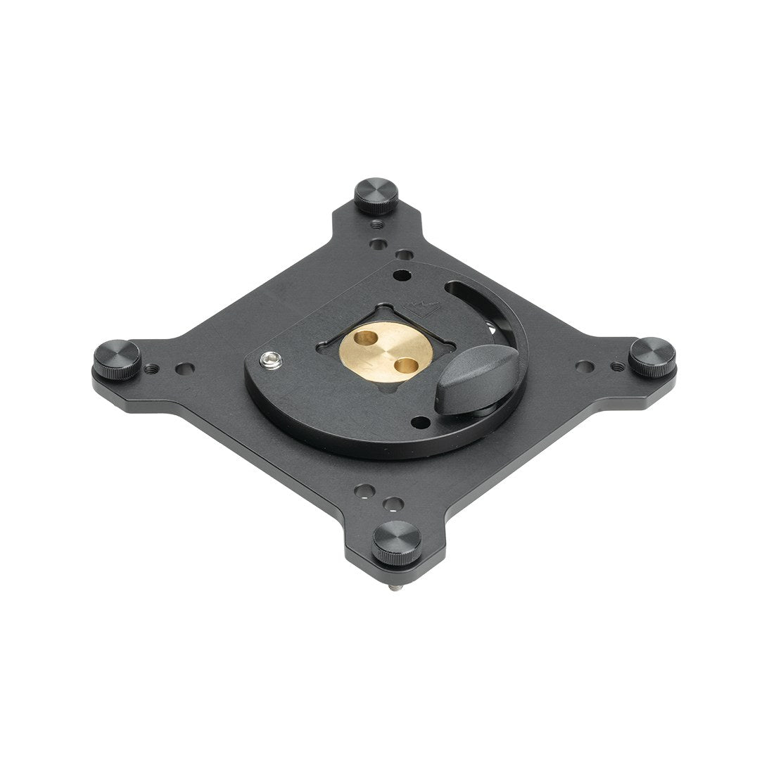 Upgrade Innovations VESA Landscape/Portrait Swinger Mount Adapter
