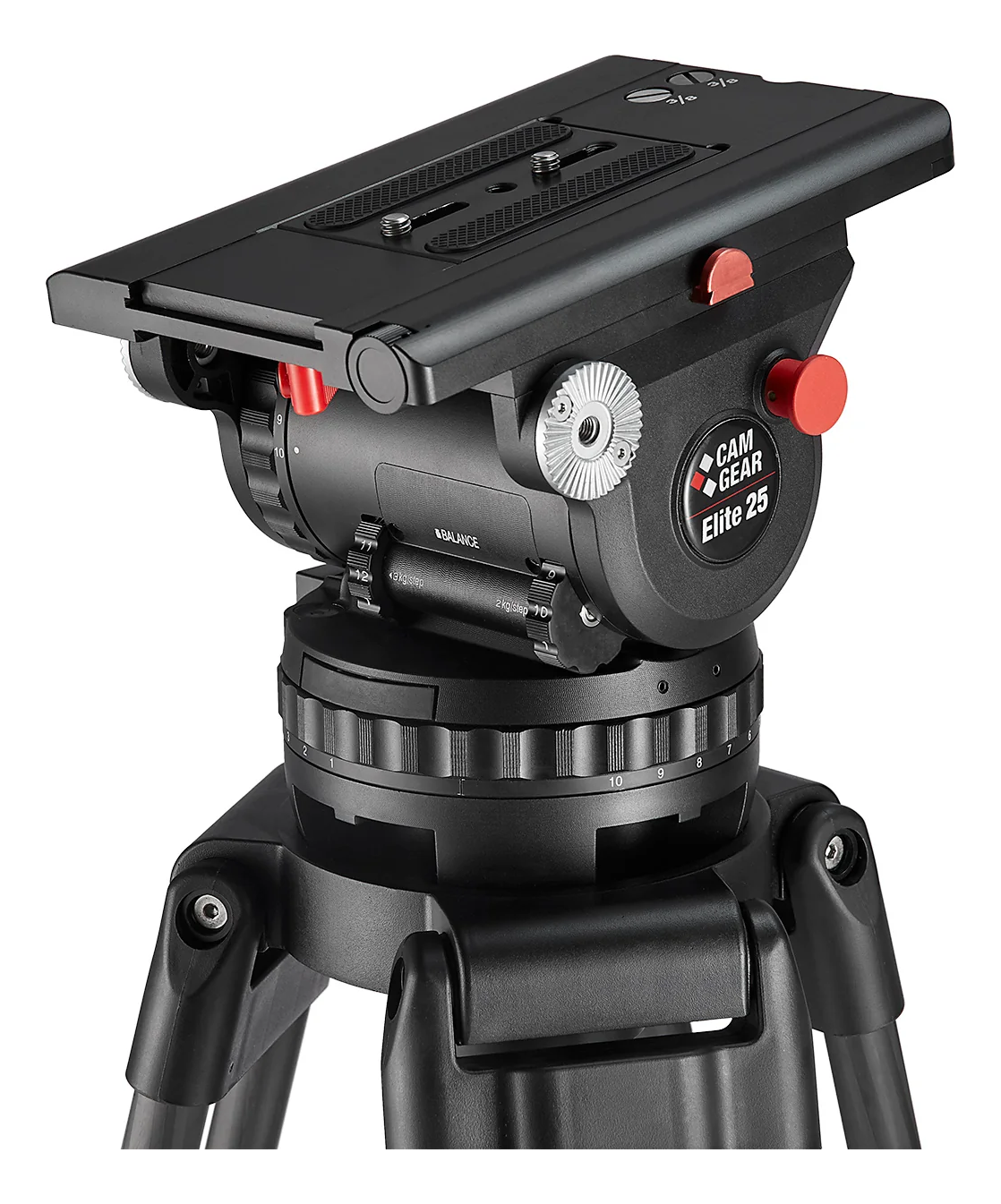 CamGear Elite 25 EFP CF MS