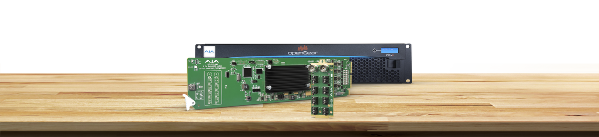AJA OG-12G-AMA openGear 12G-SDI - Analog Audio Embedder/Disembedder