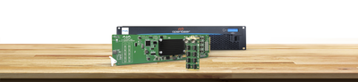 AJA OG-12G-AMA openGear 12G-SDI - Analog Audio Embedder/Disembedder